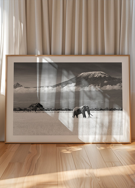 Poster „Lost Colors II“.