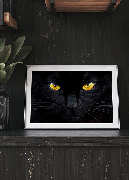 Der Hypnotiseur der Nacht