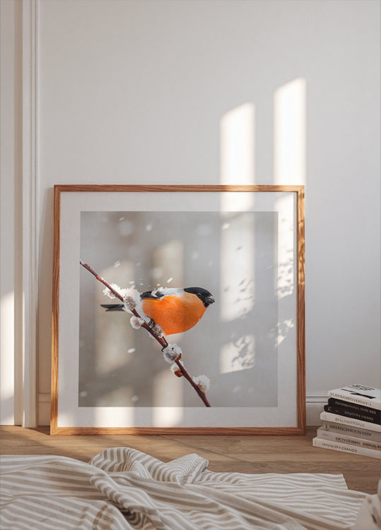 Bullfinch in a snowstorm Plakater - Posterbox