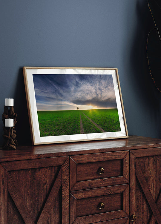 Einzelgänger in der Sonne