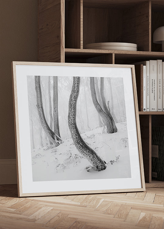 Gefrorene Waldplakate