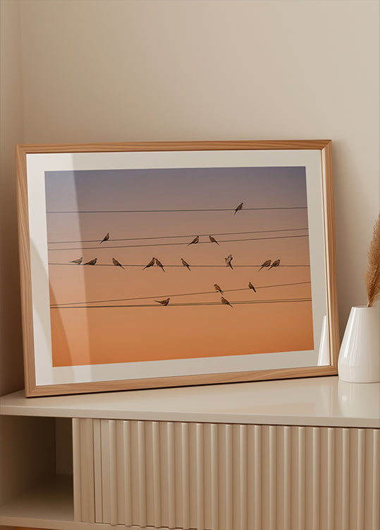 Musik des Lichts