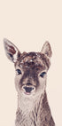 Fawn Rosé Beige Plakat - Posterbox