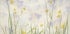 Crocuses bloom (NEW) - Posterbox