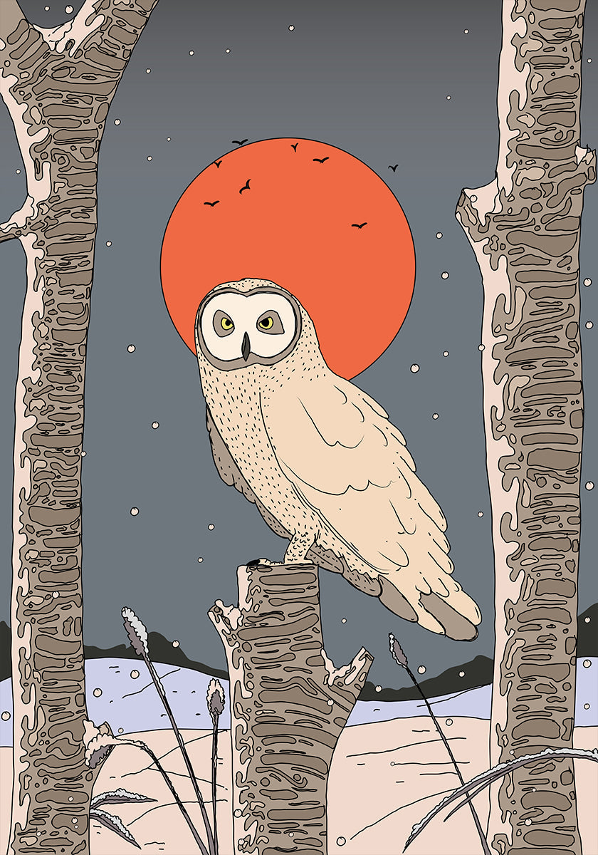 Vintage Owl Plakat - Posterbox