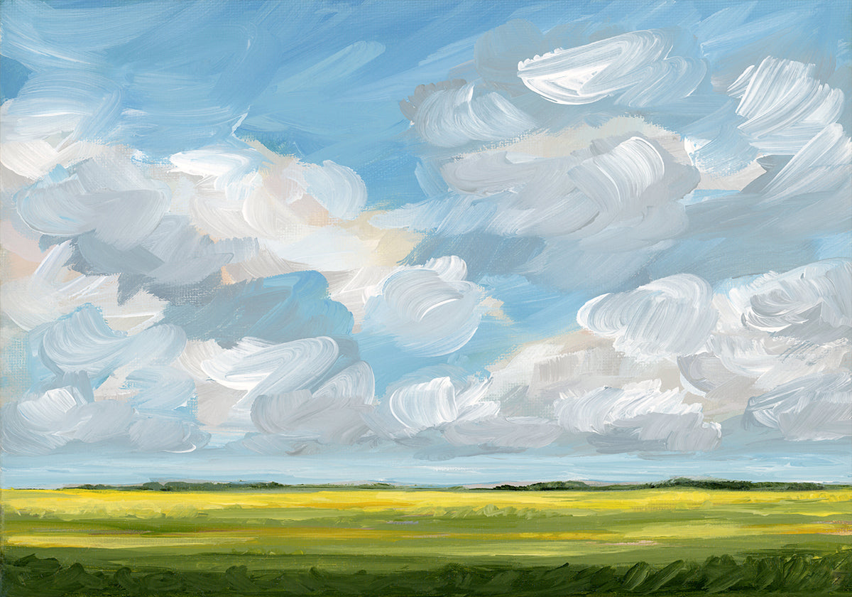 Clouds &amp; Canola Plakat - Posterbox