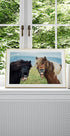 WILD SMILE - Posterbox