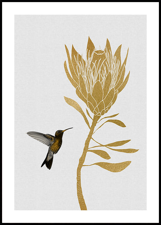 Hummingbird & Flower I Plakat - Posterbox