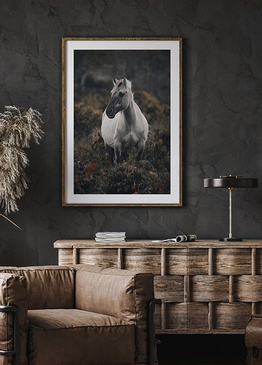 Dream of Freedom (NEW) - Posterbox