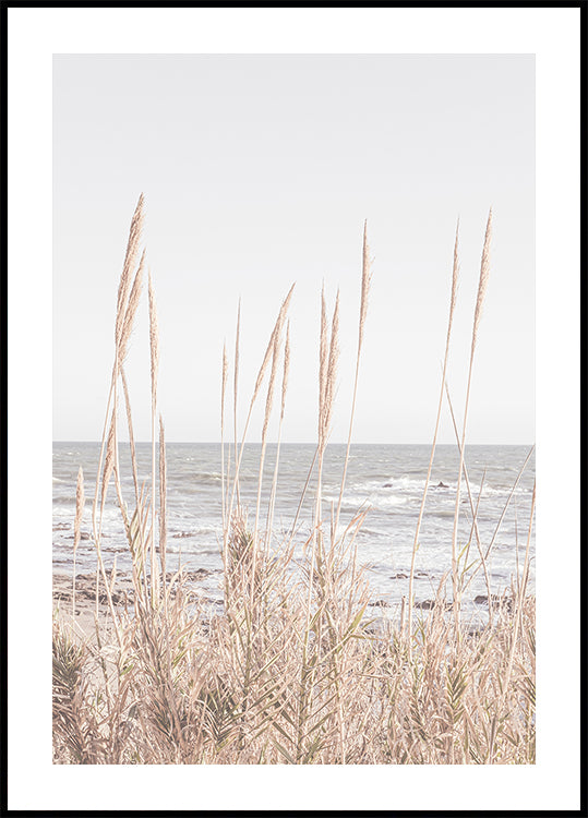 Beach_Vass_001 Plakat - Posterbox