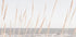 Beach_Vass_002 Plakat - Posterbox