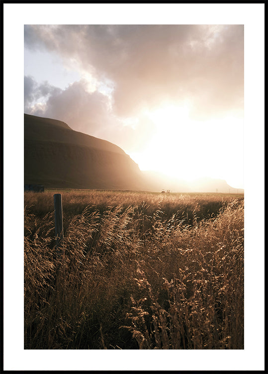 Autumn Sunset Over the Field Plakat - Posterbox.dk