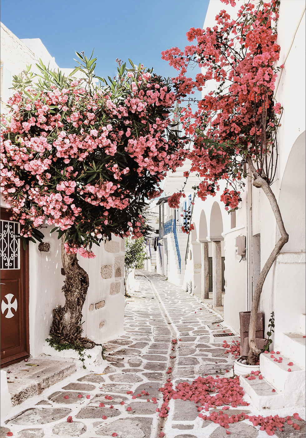 Pink Flower Trees in a Picturesque Alley Plakat - Posterbox.dk