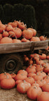 Pumpkin Patch Truck Plakat - Posterbox.dk
