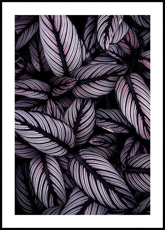 Purple Leaves Plakat - Posterbox.dk
