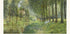 Rest Along The Stream Impressionist Forest, Alfred Sisley 1878 Plakat - Posterbox.dk