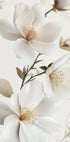 a close up of a white flower on a white background