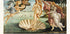 The Birth of Venus Plakat - Posterbox.dk