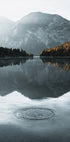 Water Ripples in the lake Plakat - Posterbox.dk