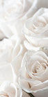 White Blossoming Roses Plakat - Posterbox.dk