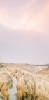 Ameland Dunes 1 Plakat - Posterbox