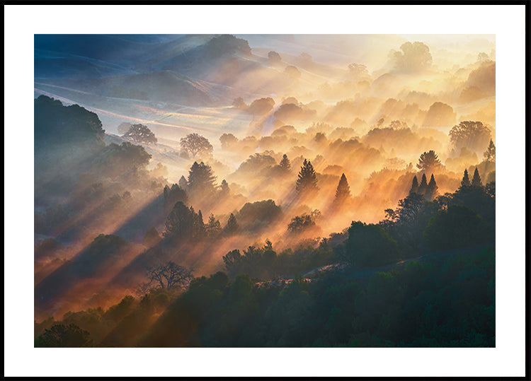 Morning Light Plakat - Posterbox