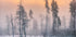 Frosty morning Plakat - Posterbox