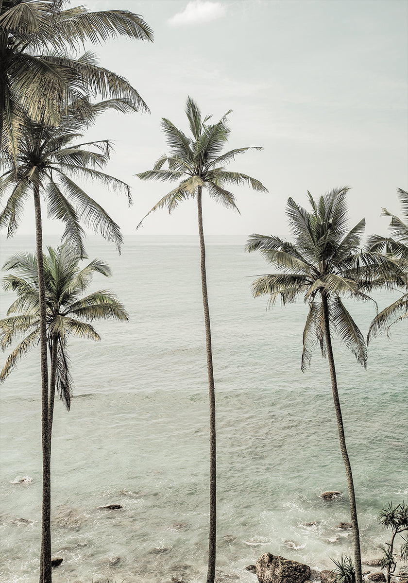 Tropical Dreams Plakat - Posterbox