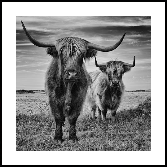 Highlands Plakat - Posterbox