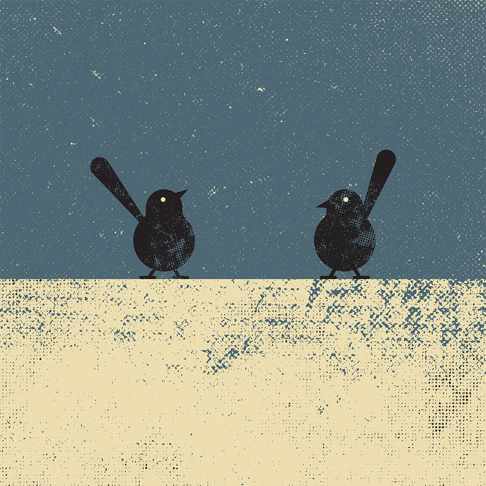 Birds Plakater - Posterbox