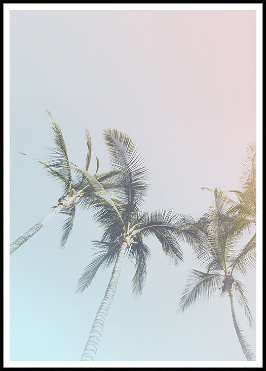 Pastel Palms Bliss (NEW) - Posterbox