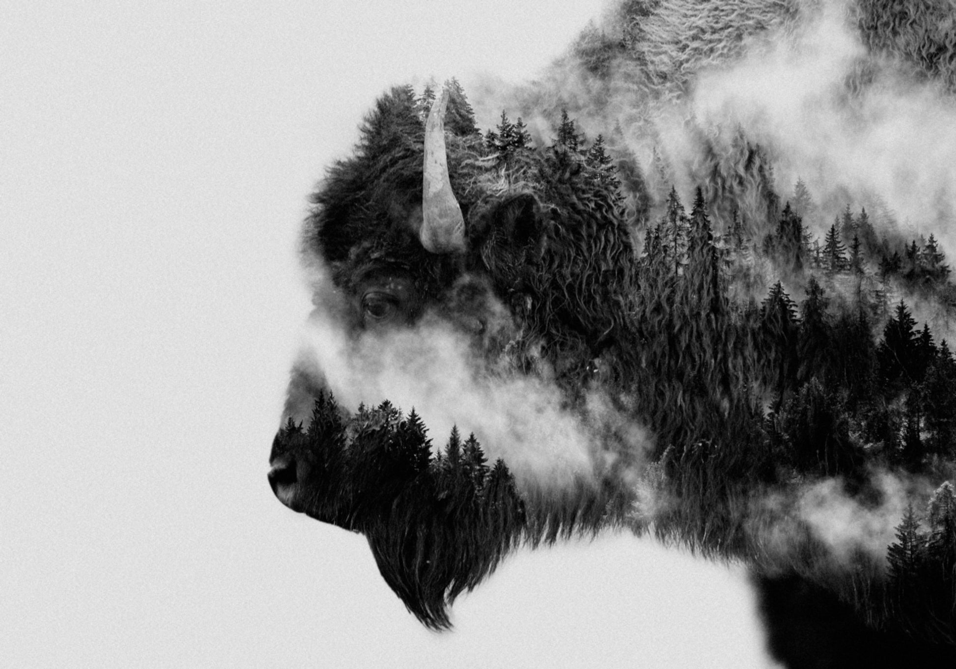 Waldbisongeist