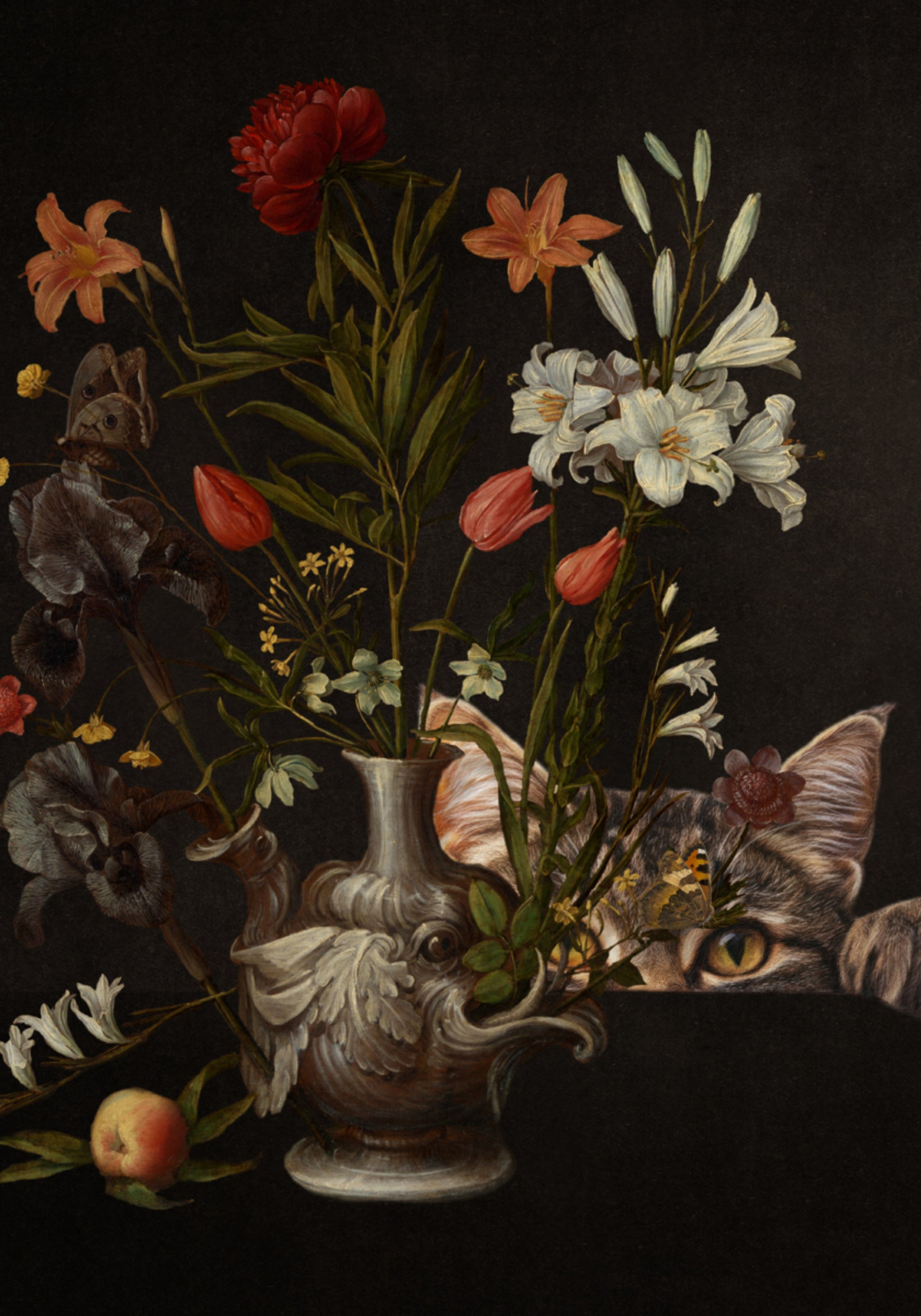 Neugierige Katzenblumen
