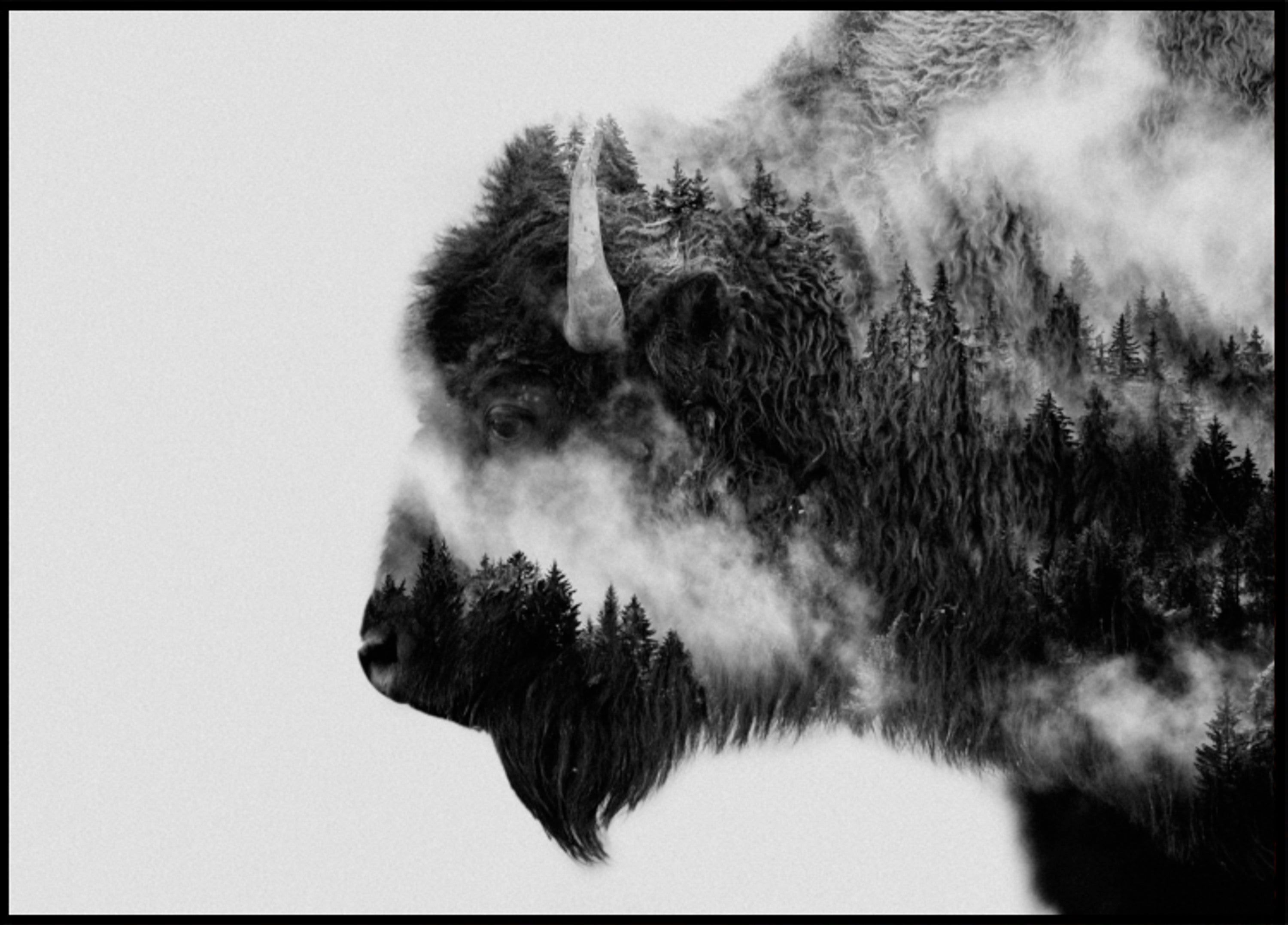 Waldbisongeist