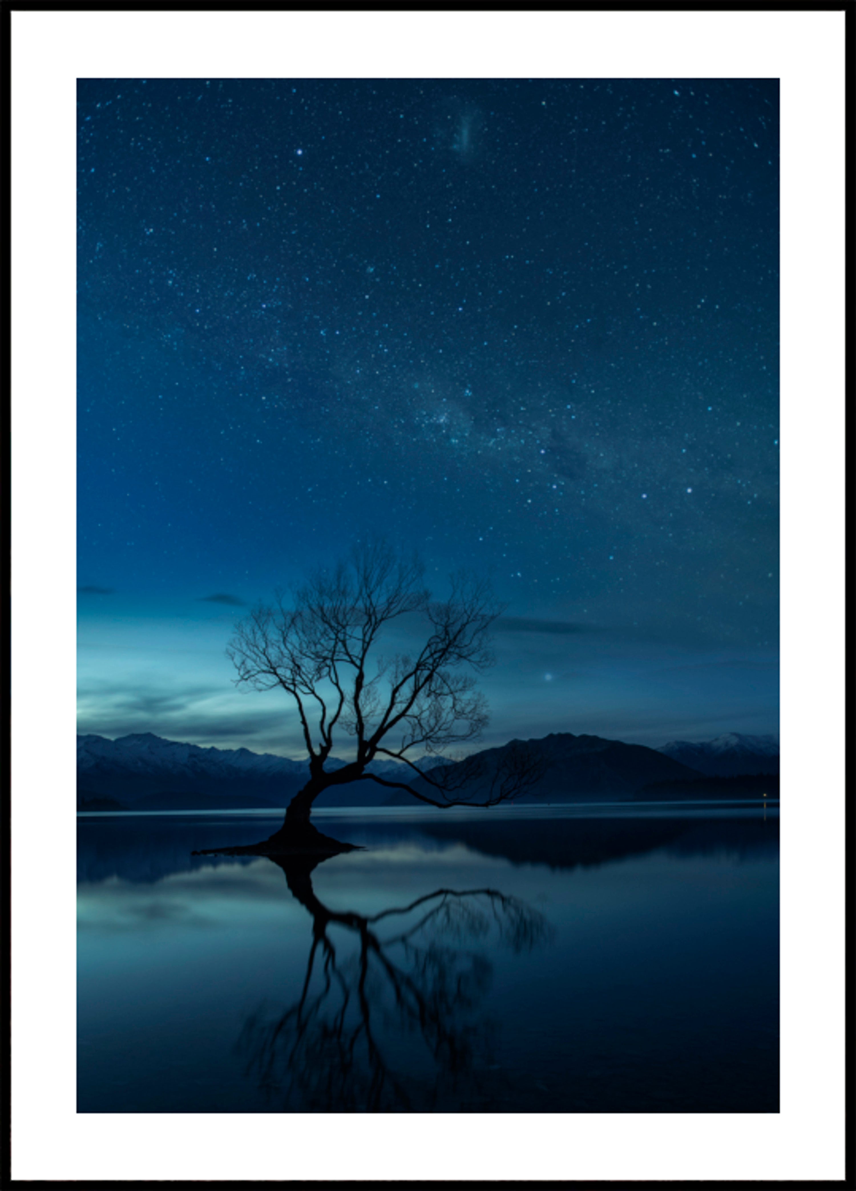 Einsamer Baum, sternenklare Nacht