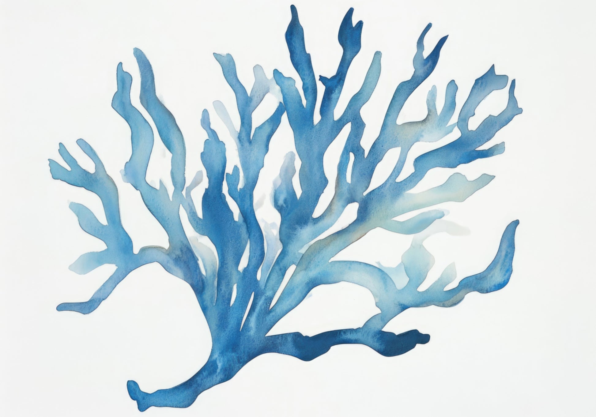 Blaue Koralle
