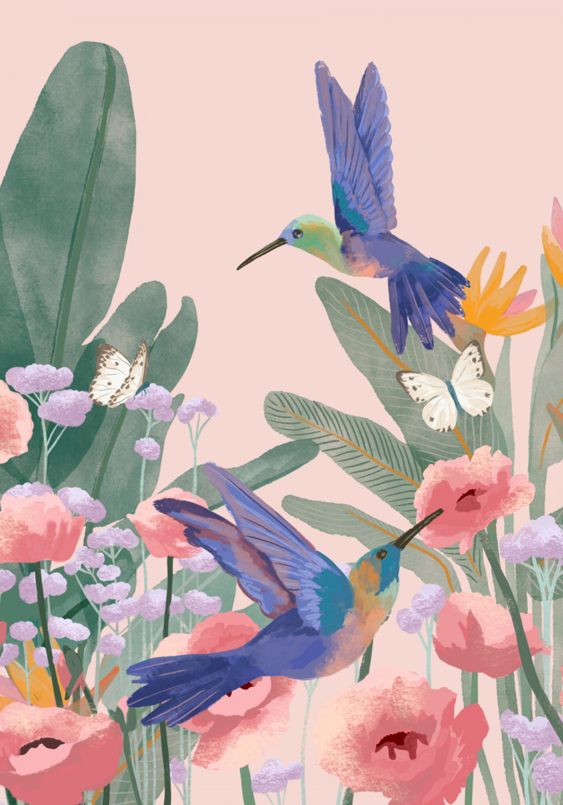 Kolibris