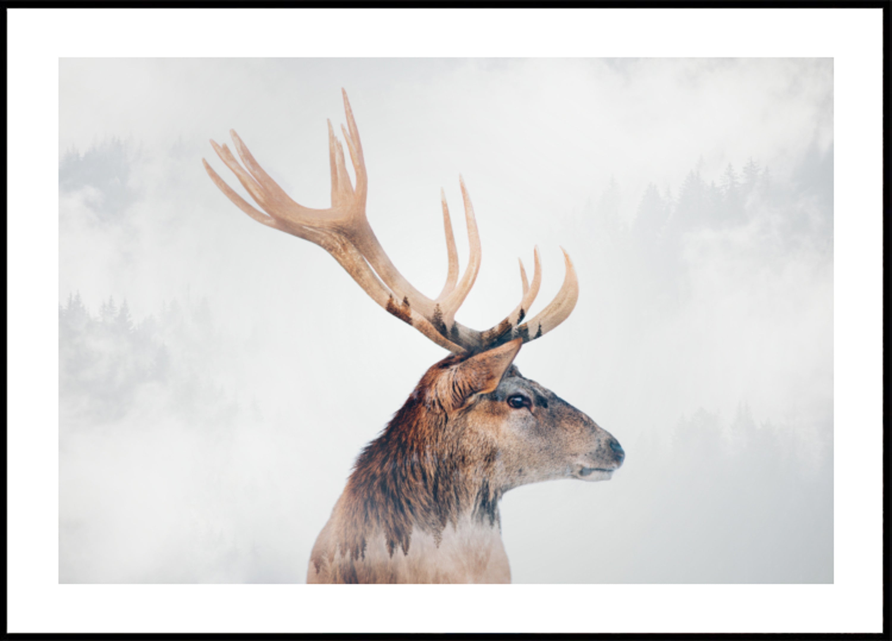 Nebliger Waldhirsch
