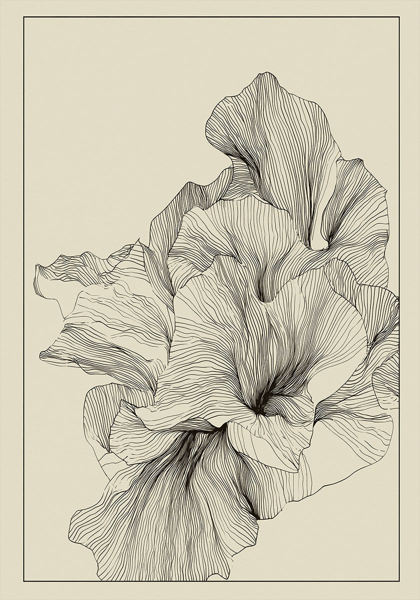 Floating coral (NEW) - Posterbox